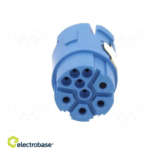 Connector: M23 | contact insert | PIN: 9(4+5) | female | crimped paveikslėlis 9