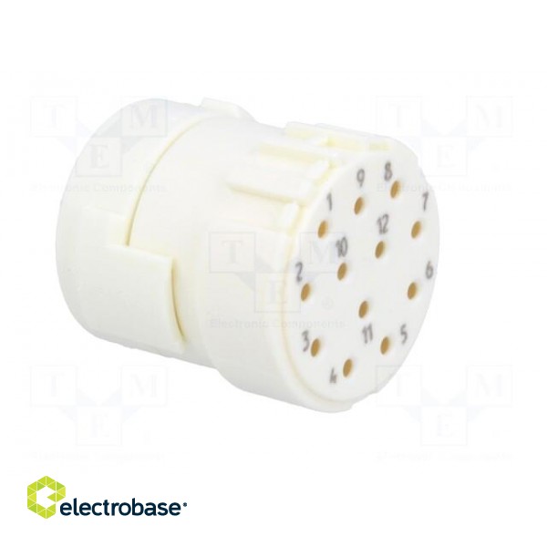 Connector: M23 | contact insert | PIN: 12 | female | crimped | 200V | 8A image 8