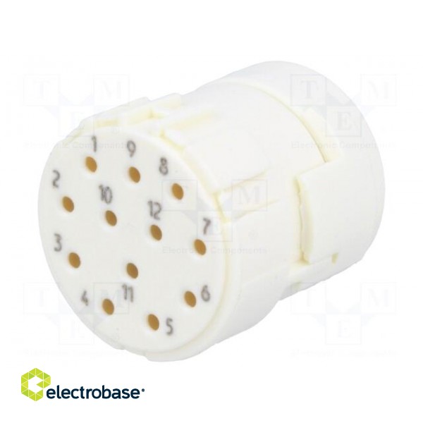 Connector: M23 | contact insert | PIN: 12 | female | crimped | 200V | 8A фото 1