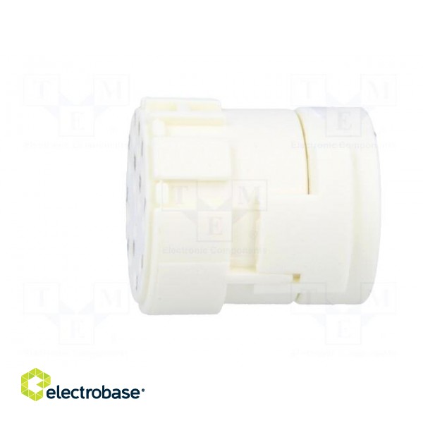 Connector: M23 | contact insert | PIN: 12 | female | crimped | 200V | 8A фото 3