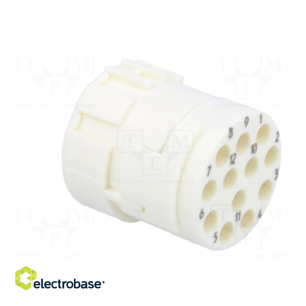 Connector: M23 | contact insert | PIN: 12 | female | crimped | 200V | 8A paveikslėlis 4