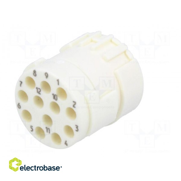 Connector: M23 | contact insert | PIN: 12 | female | crimped | 200V | 8A paveikslėlis 6