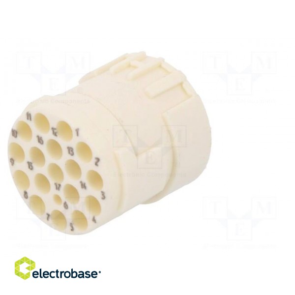 Connector: M23 | PIN: 17 | female | crimped | w/o contacts | 160V | 8A paveikslėlis 6