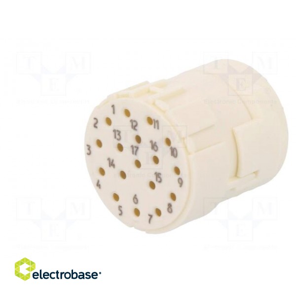 Connector: M23 | PIN: 17 | female | crimped | w/o contacts | 160V | 8A image 2