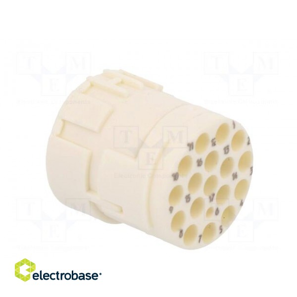 Connector: M23 | PIN: 17 | female | crimped | w/o contacts | 160V | 8A paveikslėlis 4