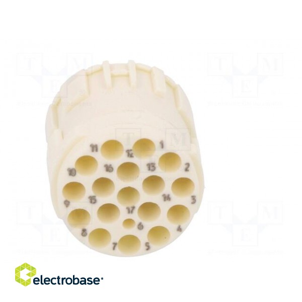 Connector: M23 | PIN: 17 | female | crimped | w/o contacts | 160V | 8A paveikslėlis 5