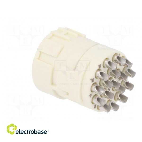 Connector: M23 | PIN: 17 | female | soldering | 160V | 8A | Series: Han M23 image 4