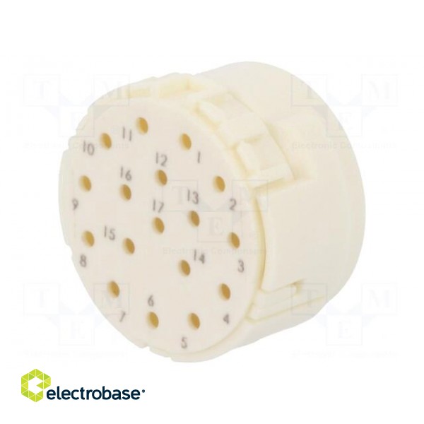 Connector: M23 | PIN: 17 | male | crimped | w/o contacts | 160V | 8A image 1