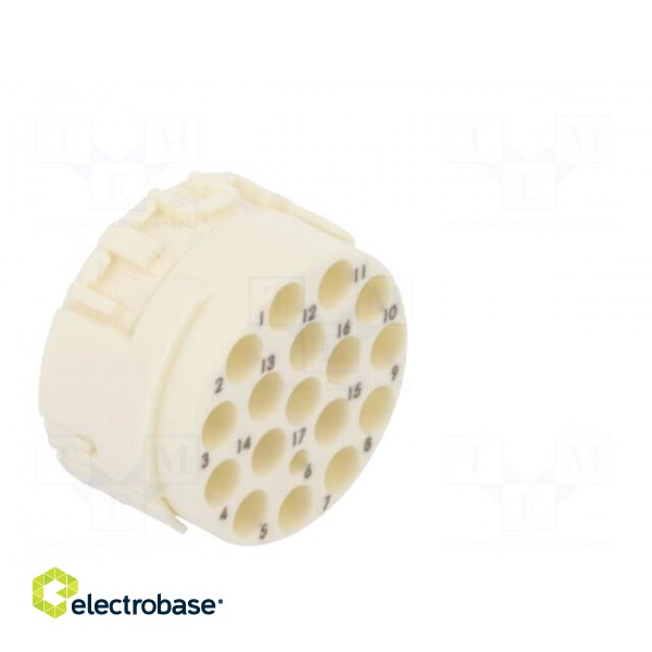 Connector: M23 | PIN: 17 | male | crimped | w/o contacts | 160V | 8A image 4