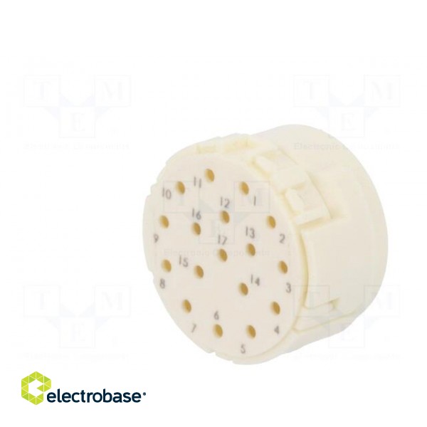 Connector: M23 | PIN: 17 | male | crimped | w/o contacts | 160V | 8A paveikslėlis 2