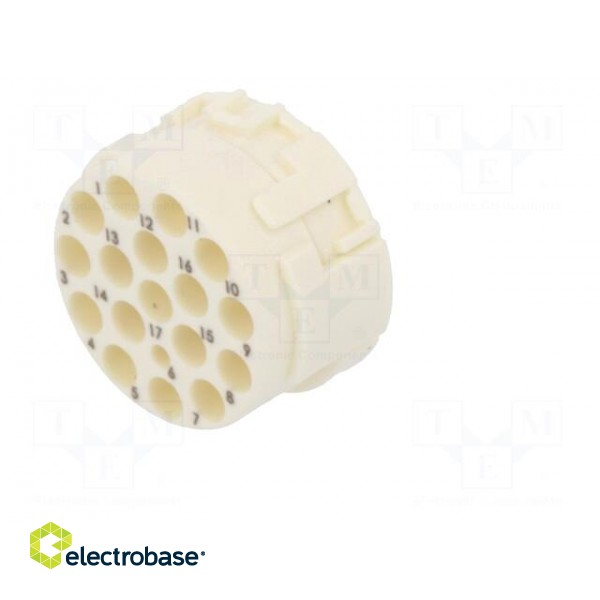 Connector: M23 | contact insert | PIN: 17 | male | crimped | 160V | 8A image 6