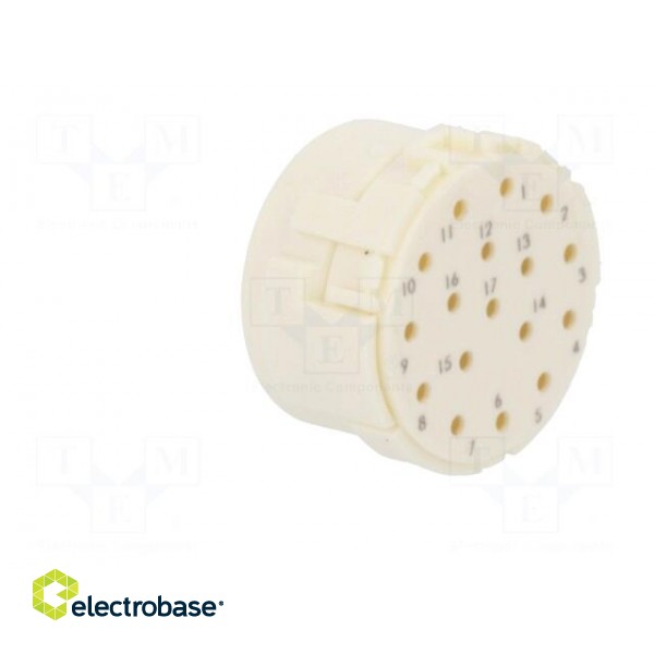 Connector: M23 | PIN: 17 | male | crimped | w/o contacts | 160V | 8A фото 8