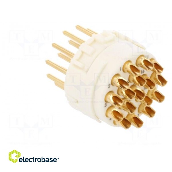 Connector: M23 | contact insert | PIN: 17 | male | soldering | 160V | 8A image 4