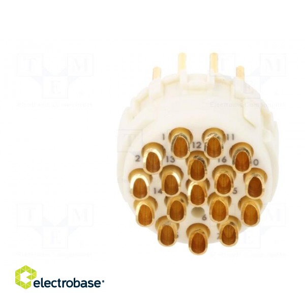 Connector: M23 | contact insert | PIN: 17 | male | soldering | 160V | 8A image 5