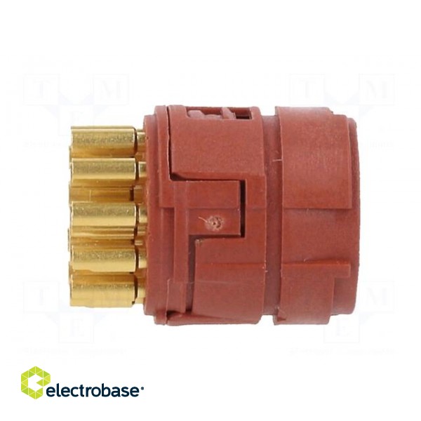 Connector: M23 | PIN: 17 | female | soldering | Series: M23 image 3