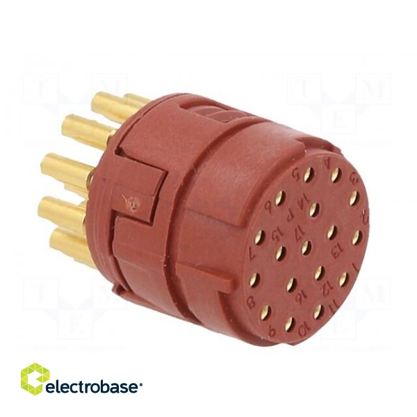 Connector: M23 | contact insert | PIN: 17 | soldering | 7A | 50V image 4