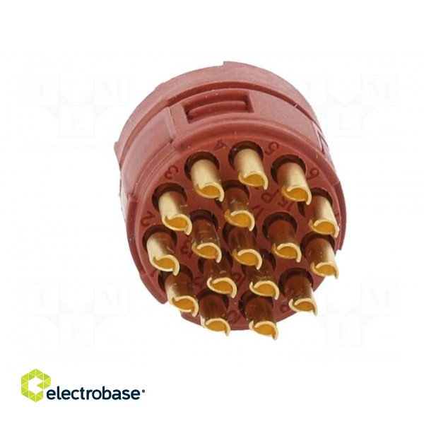 Connector: M23 | PIN: 17 | female | soldering | Series: M23 фото 9