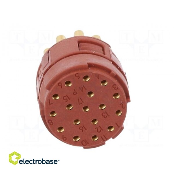 Connector: M23 | contact insert | PIN: 17 | soldering | 7A | 50V image 5