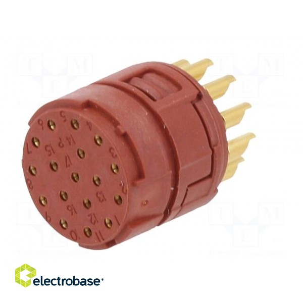 Connector: M23 | PIN: 17 | female | soldering | Series: M23 фото 6
