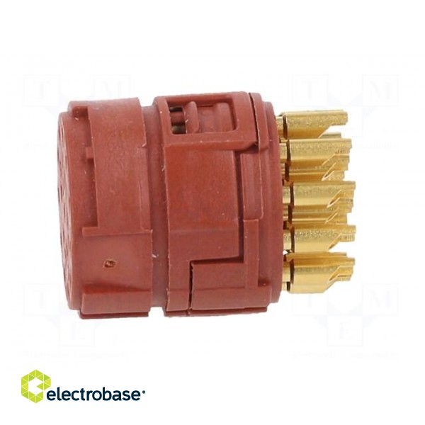 Connector: M23 | PIN: 17 | female | soldering | Series: M23 фото 7