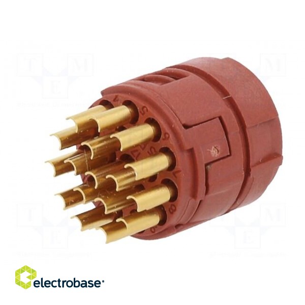 Connector: M23 | contact insert | PIN: 17 | soldering | 7A | 50V image 2