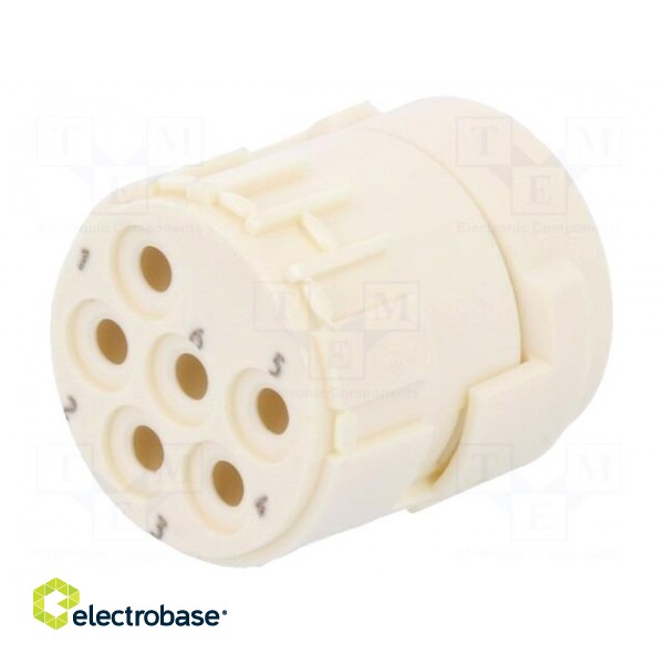 Connector: M23 | PIN: 6 | female | crimped | w/o contacts | 300V | 20A фото 1