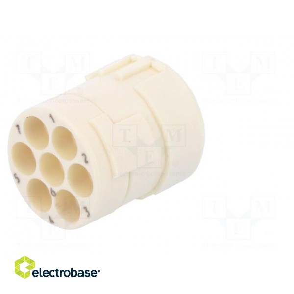 Connector: M23 | PIN: 6 | female | crimped | w/o contacts | 300V | 20A image 6