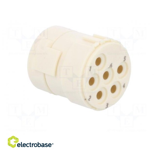 Connector: M23 | contact insert | PIN: 6 | female | crimped | 300V | 20A image 8