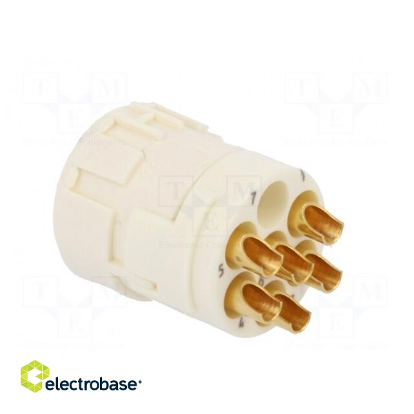 Connector: M23 | contact insert | PIN: 6 | female | soldering | 300V | 20A image 4