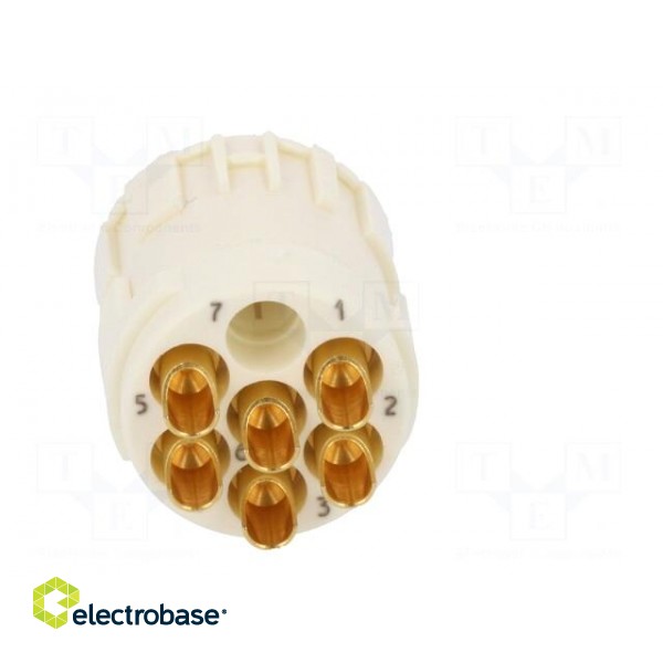 Connector: M23 | PIN: 6 | female | soldering | 300V | 20A | Series: Han M23 image 5