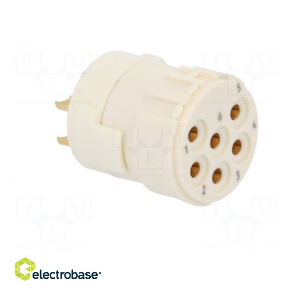 Connector: M23 | contact insert | PIN: 6 | female | soldering | 300V | 20A image 8