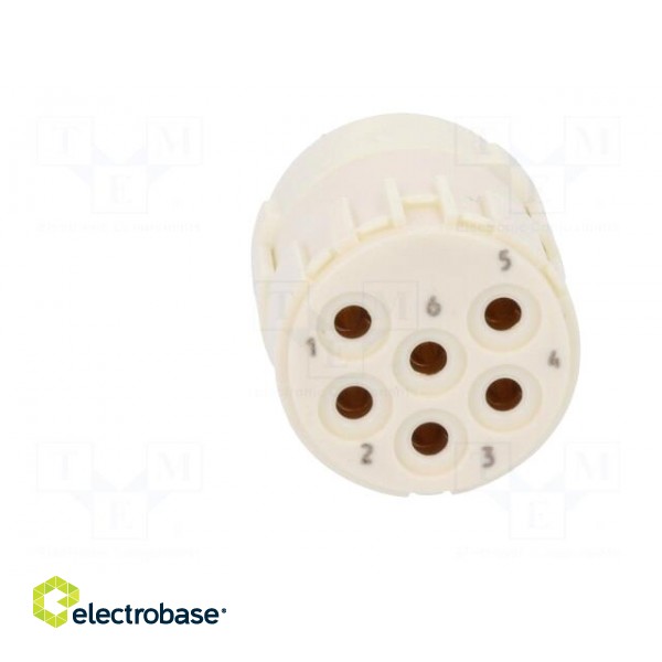 Connector: M23 | contact insert | PIN: 6 | female | soldering | 300V | 20A image 9