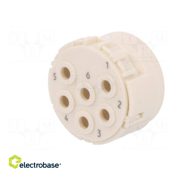 Connector: M23 | PIN: 6 | male | crimped | w/o contacts | 300V | 20A paveikslėlis 2