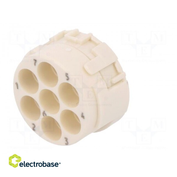 Connector: M23 | PIN: 6 | male | crimped | w/o contacts | 300V | 20A paveikslėlis 6