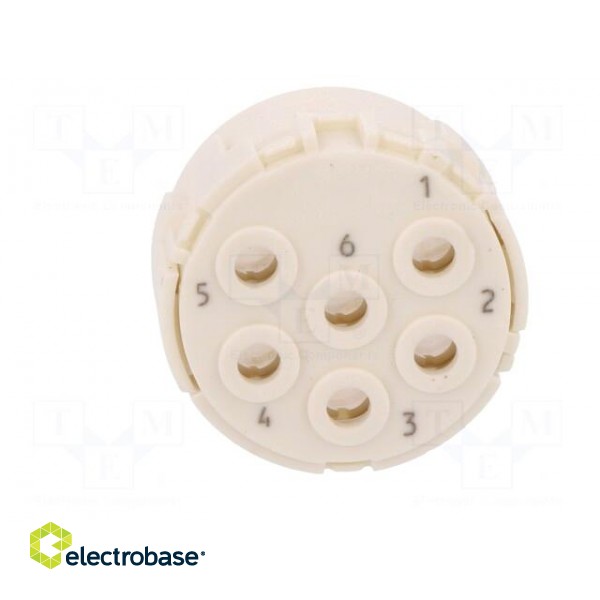 Connector: M23 | PIN: 6 | male | crimped | w/o contacts | 300V | 20A image 9