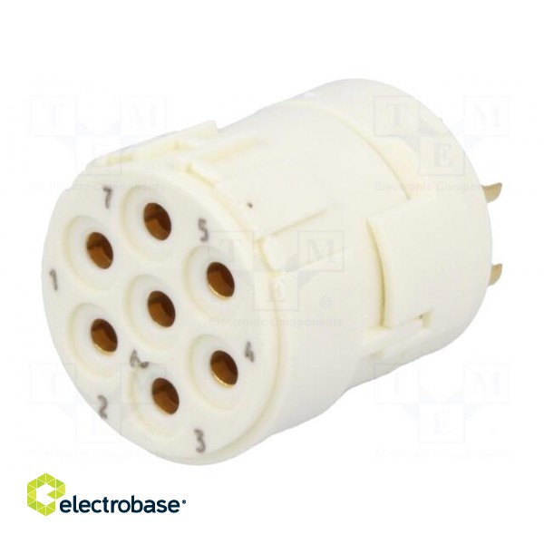 Connector: M23 | contact insert | PIN: 7 | female | soldering | 300V | 20A image 1