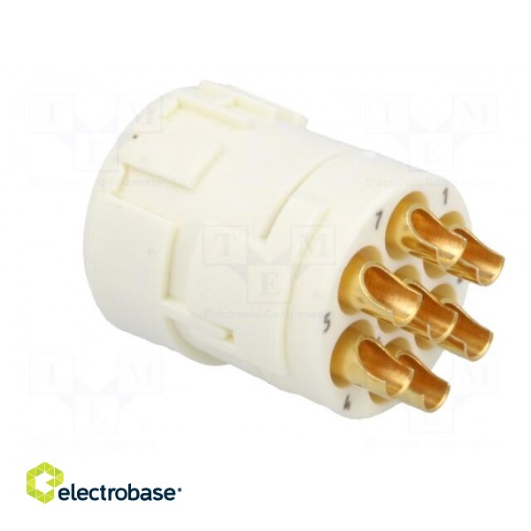 Connector: M23 | contact insert | PIN: 7 | female | soldering | 300V | 20A image 4