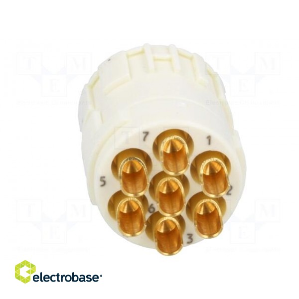 Connector: M23 | contact insert | PIN: 7 | female | soldering | 300V | 20A image 5