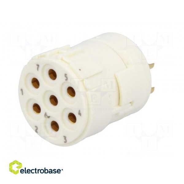 Connector: M23 | contact insert | PIN: 7 | female | soldering | 300V | 20A image 2