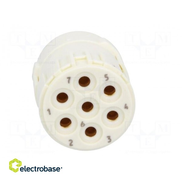 Connector: M23 | contact insert | PIN: 7 | female | soldering | 300V | 20A image 9