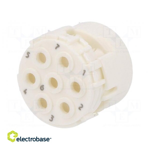 Connector: M23 | contact insert | PIN: 7 | male | crimped | w/o contacts image 1