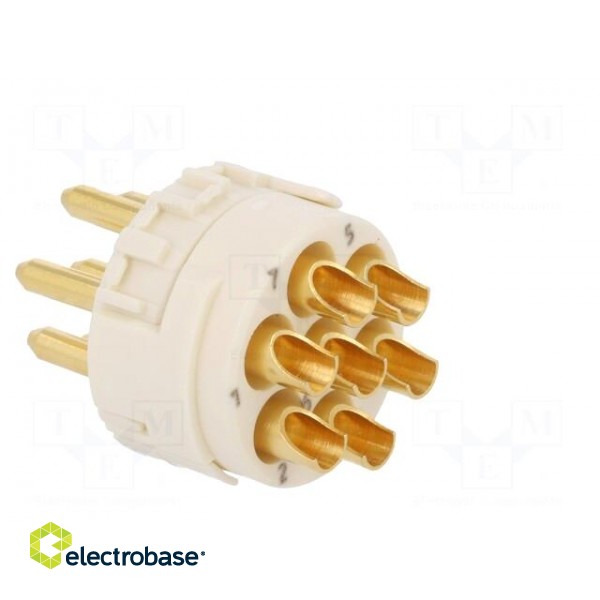 Connector: M23 | PIN: 7 | male | soldering | 300V | 20A | Series: Han M23 paveikslėlis 4