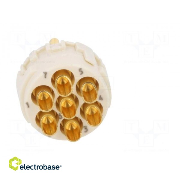 Connector: M23 | contact insert | PIN: 7 | male | soldering | 300V | 20A image 5