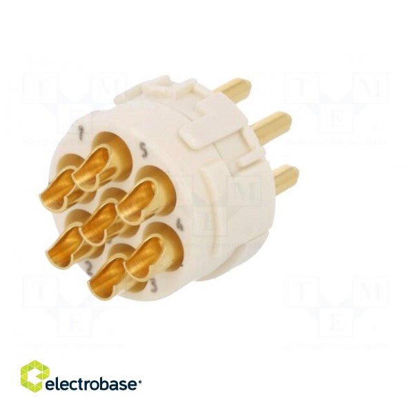 Connector: M23 | PIN: 7 | male | soldering | 300V | 20A | Series: Han M23 paveikslėlis 6