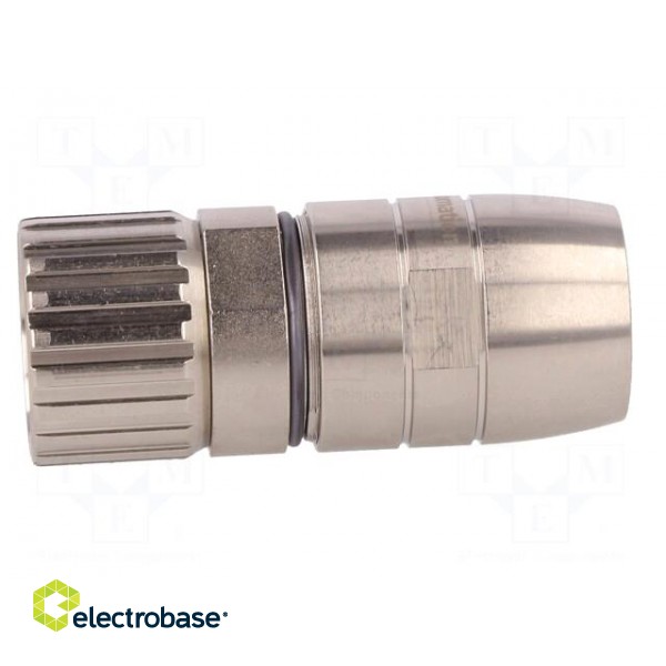 Connector: M23 | plug | PIN: 12 | male | screw terminal | for cable | IP67 image 3