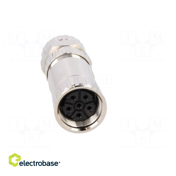 Connector: M23 | plug | PIN: 6 | female | crimped | for cable | straight фото 9