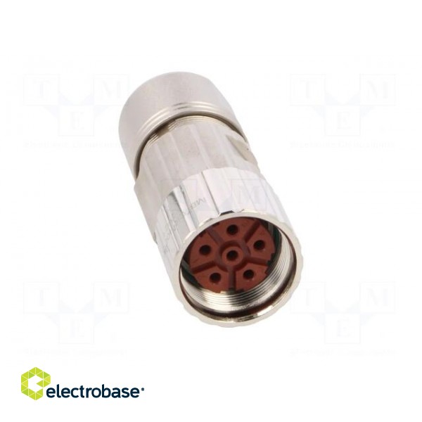 Connector: M23 | plug | PIN: 6 | female | crimped | for cable | straight image 9