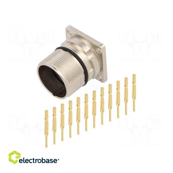 Connector: M23 | socket | PIN: 12 | male | crimped | straight | 10A | IP67 paveikslėlis 1