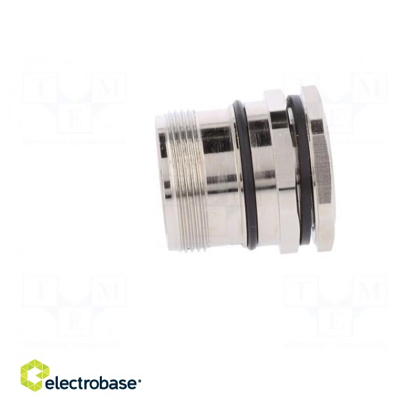 Connector: M23 | socket | PIN: 12 | male | soldering | straight | 8A | IP67 фото 3