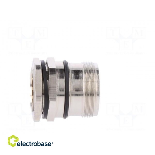 Connector: M23 | socket | PIN: 12 | male | soldering | straight | 8A | IP67 фото 7